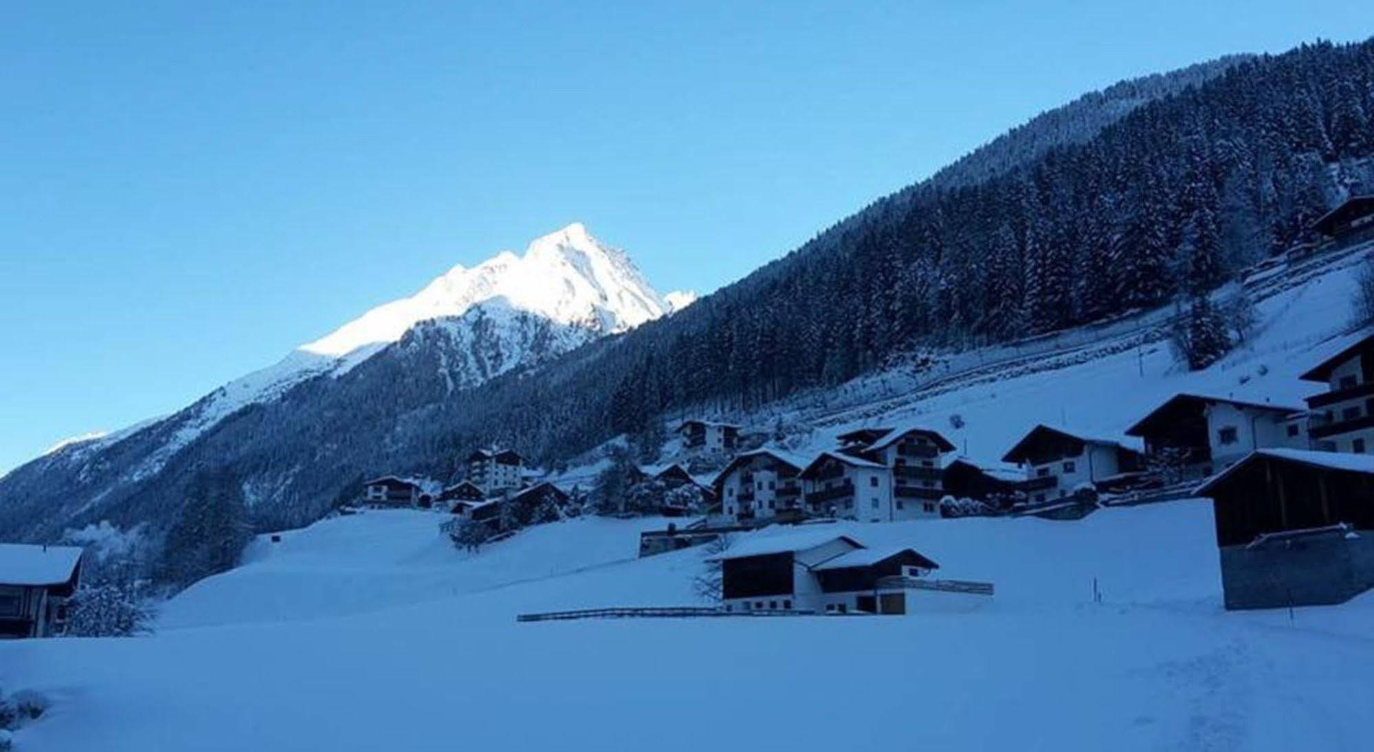 Alpen-appartements Zurcher Apartment *